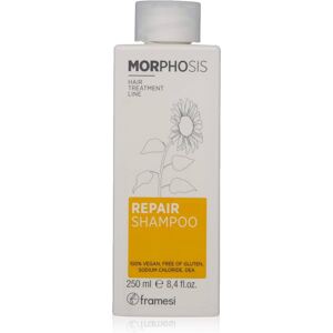 Framesi Morphosis Framesi Morphosi, regenerační šampon, 250 ml