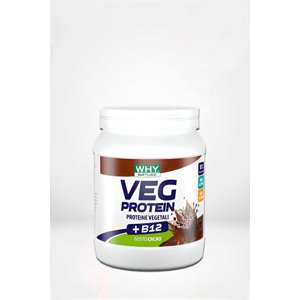 Veg Protein - veganský protein - 450 g Příchuť: Kakao