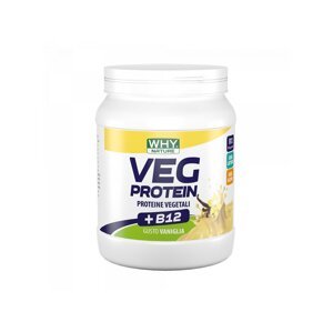 Veg Protein - veganský protein - 450 g Příchuť: Vanilka