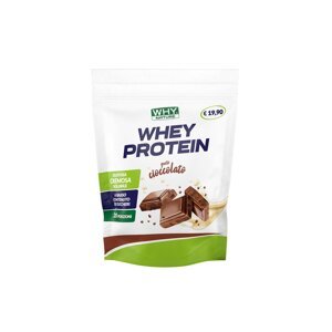 Whey protein - proteinový prášek - 400 g Příchuť: Čokoláda
